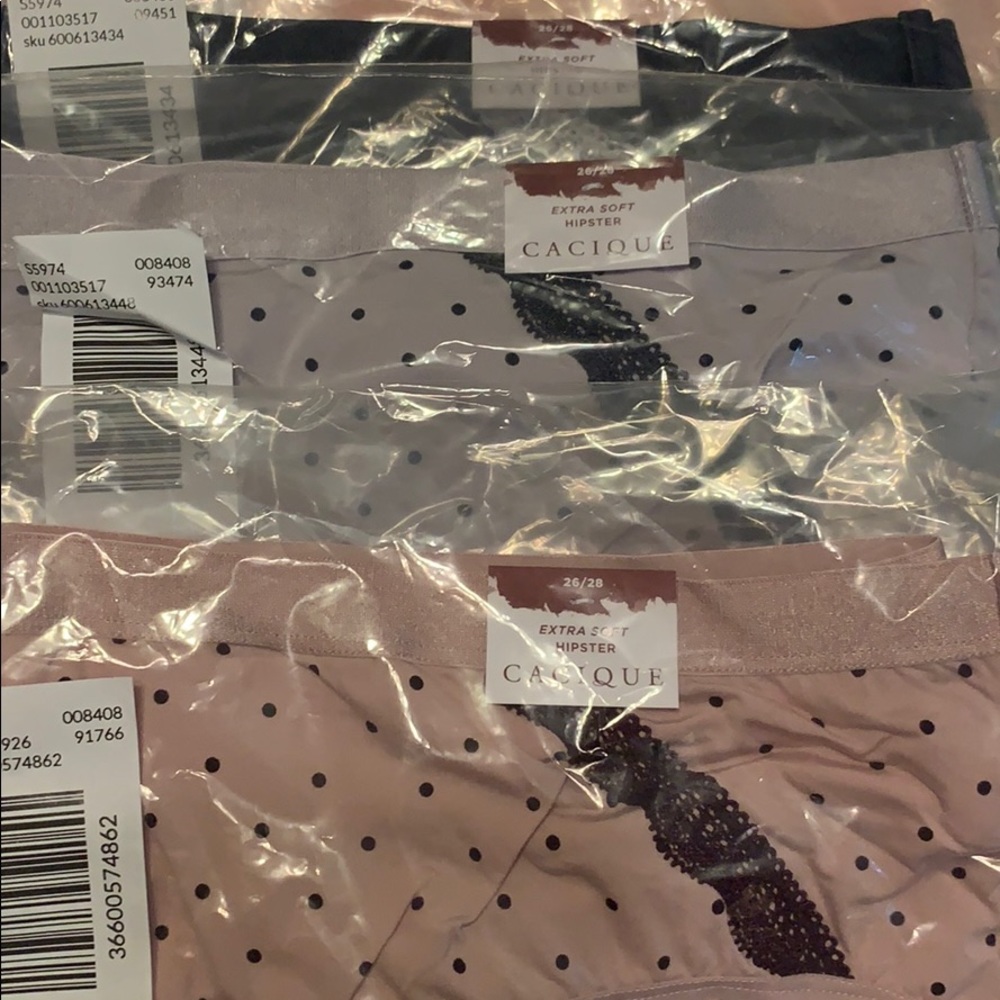 Lane Bryant/ Cacique